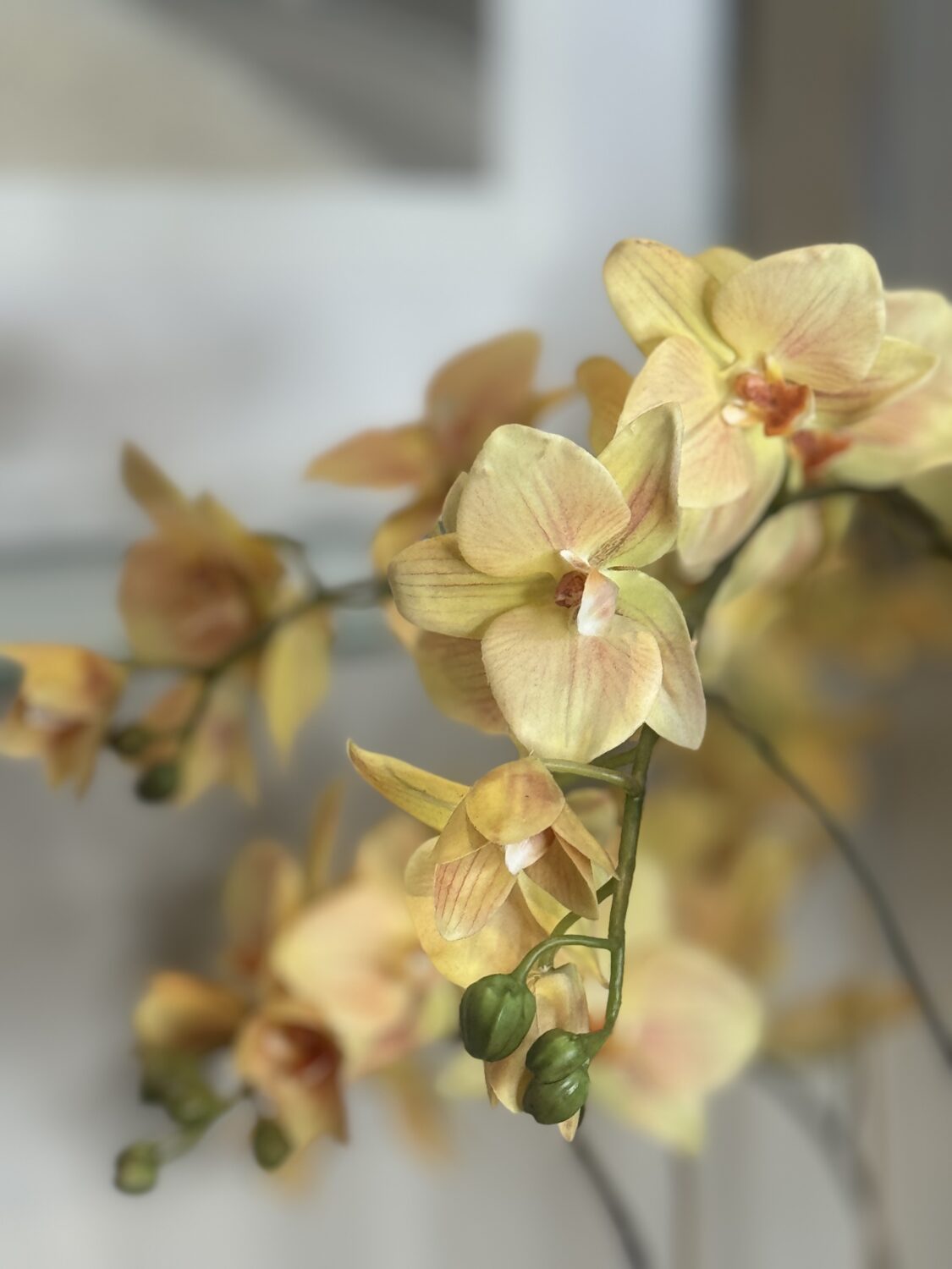 Faux Phalaenopsis Orchid Arrangement - Image 3