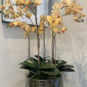 Faux Phalaenopsis Orchid Arrangement