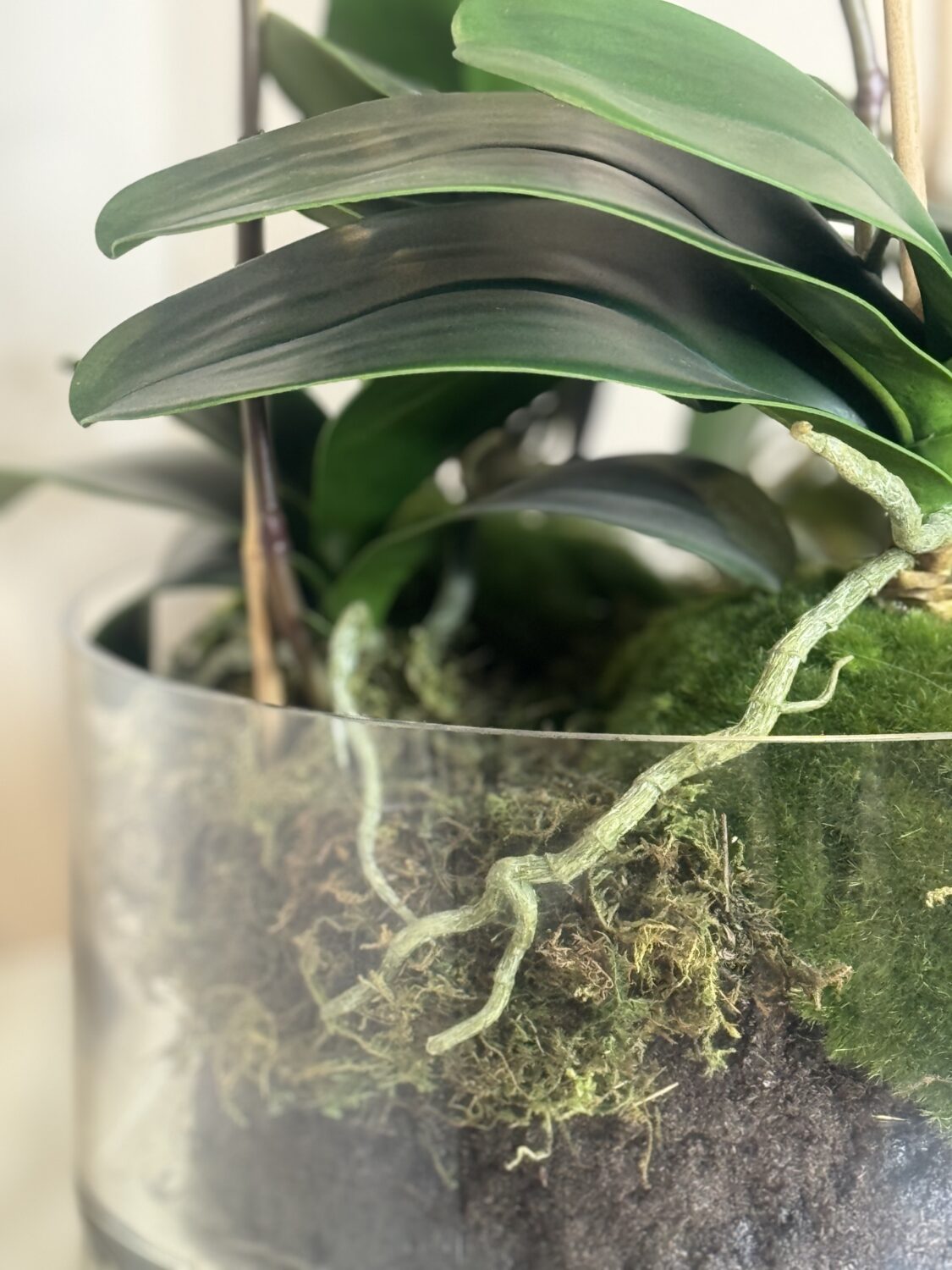 Faux Phalaenopsis Orchid Arrangement - Image 4