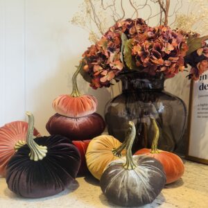 Small Black Velvet Pumpkin