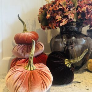 Large Harvest Velvet Pumpkin