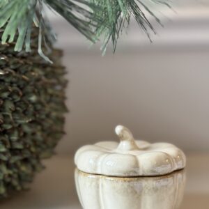 Ceramic Pumpkin Pot with Lid