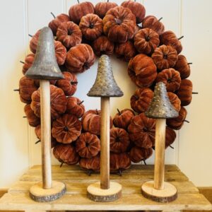 IMG 0227