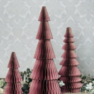 IMG 9949