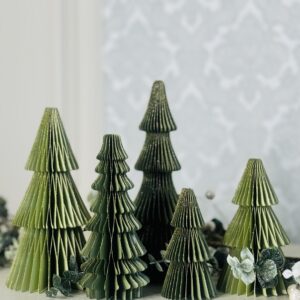 IMG 9953